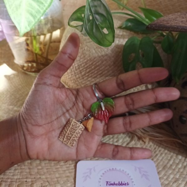  souvenir réunion: bertel / anthurium / samoussa